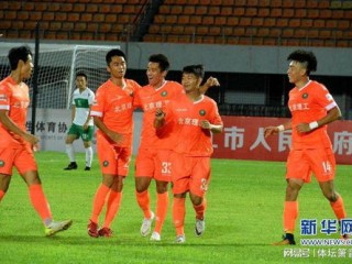 国内足球队排行榜前十名，实力格局与未来展望
