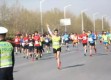 奔跑在中原大地，郑开马拉松直播背后的激情与温度