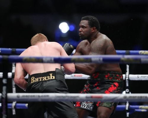 加怀特与博伊卡巅峰对决，谁是更厉害的监狱猛兽？