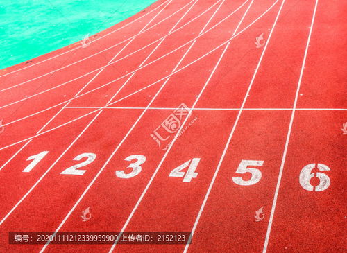 田径运动员等级查询，从跑道到荣耀的清晰路径