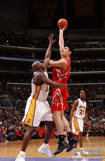 姚明vs加索尔,两大传奇中锋的NBA数据全面对比 姚明vs加索尔,两大传奇中锋的NBA数据全面对比